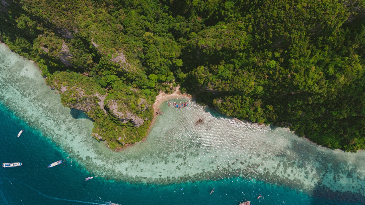 纸殇浅琳 第27页