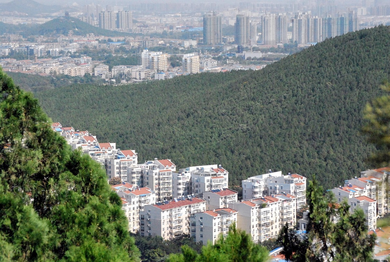 业务范围 第248页