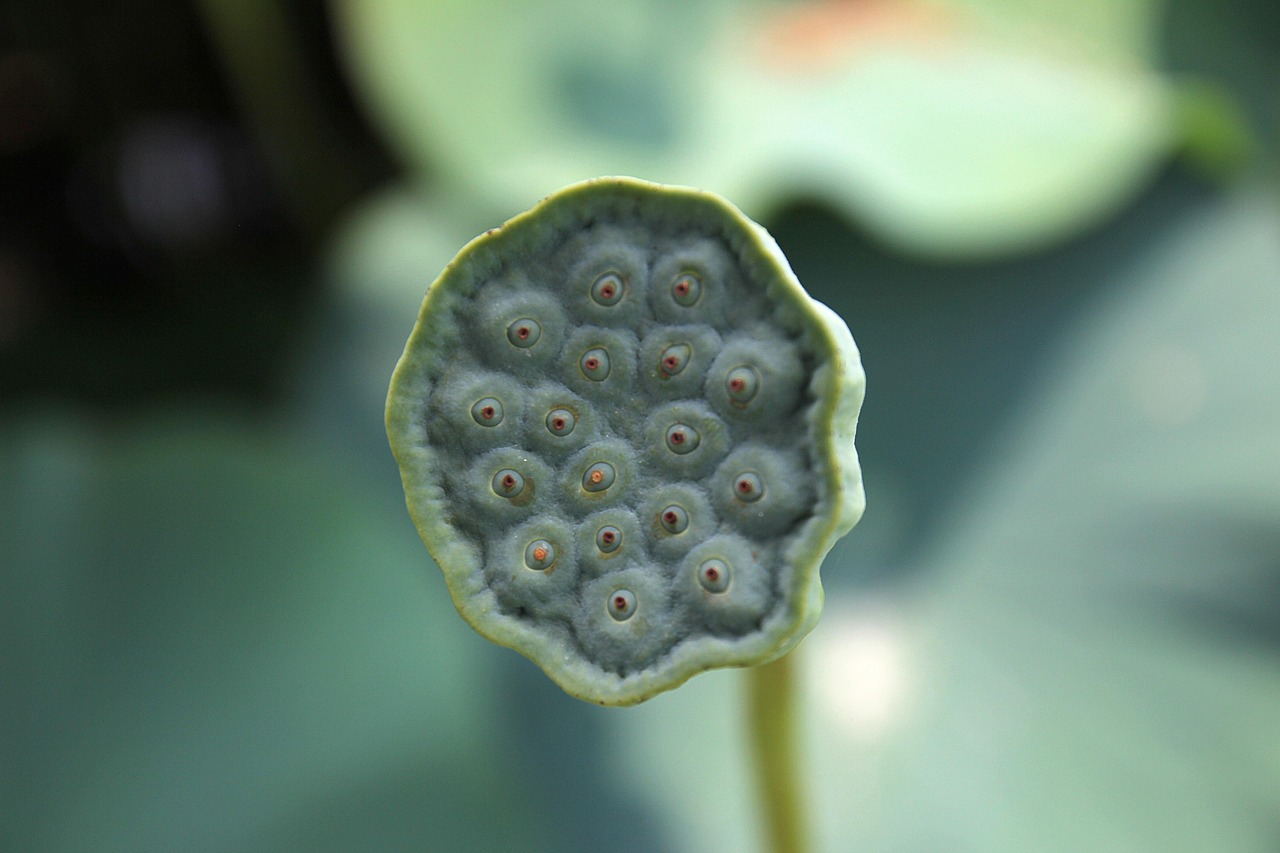 云散风尽独留 第4页